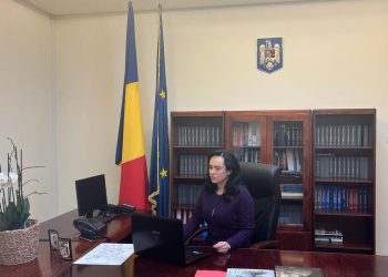 Simona Bucura-Oprescu, discuții cu reprezentanții OCDE