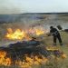 Cine arde terenul agricol riscă să nu mai primească subvenție de la APIA