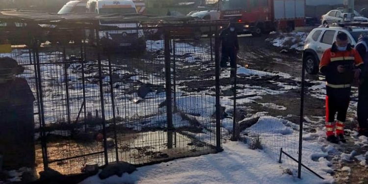 Bradu: Două fete de 17 și 18 ani și un bărbat de 44 de ani au fost găsiți morți