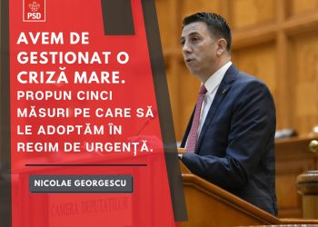 Deputat Nicolae Georgescu: Cinci urgențe pentru România