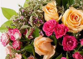 Felicitare  – Daniel CONSTANTIN, deputat PNL Argeș