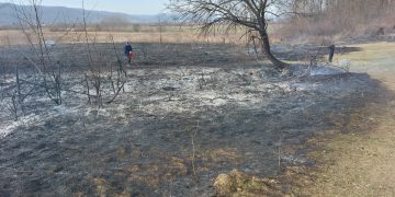 Țițești: Atenție la incendiile de vegetație!