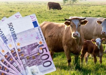 Fermierii pot depune la APIA cererile pentru ajutorul de Covid. Plata maximă – 290.000 euro/fermă