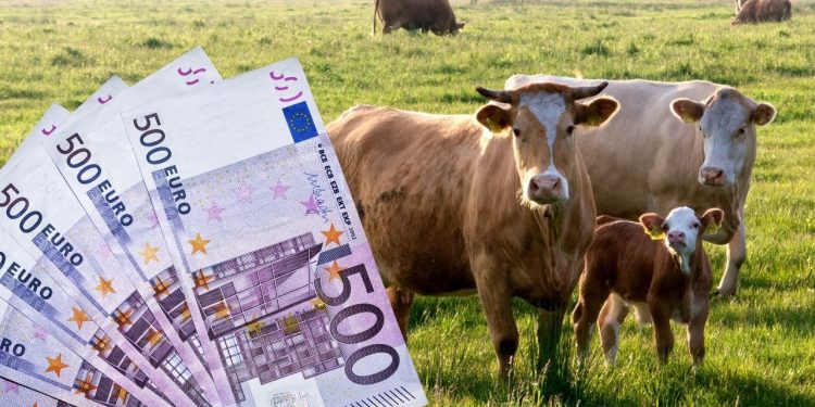 Fermierii pot depune la APIA cererile pentru ajutorul de Covid. Plata maximă – 290.000 euro/fermă