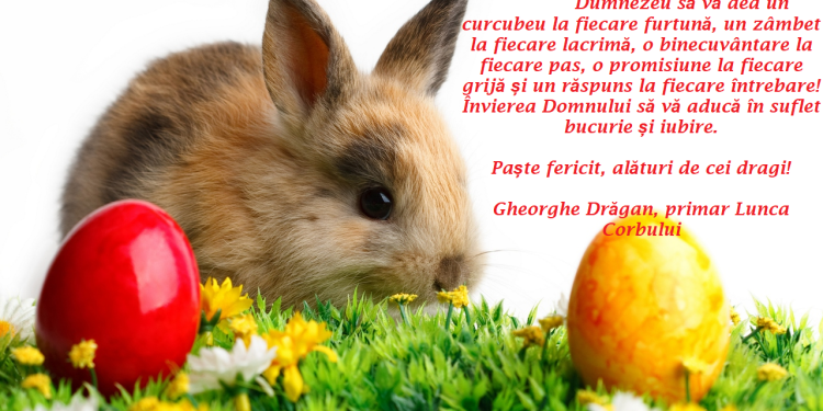 Felicitare – Gheorghe Dragan, primar Lunca Corbului