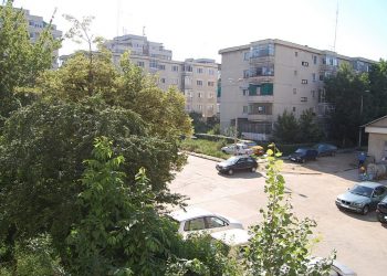 Ileana Curea, administratorul fenomen din Popa Șapcă