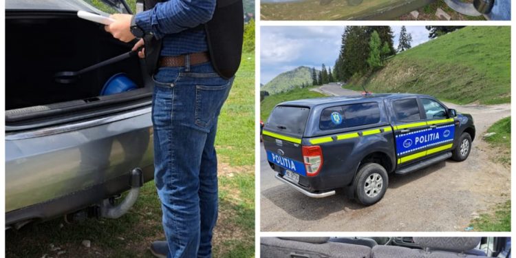 Amenzi în târgurile de animale de la Domnești și Rucăr