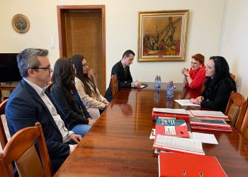 Interni la comisia parlamentară condusă de deputatul Simona Bucura-Oprescu