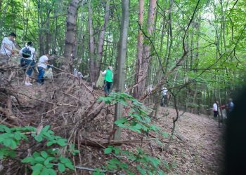 Acțiune de ecologizare organizată de Salubritate 2000 S.A. în pădurea Trivale