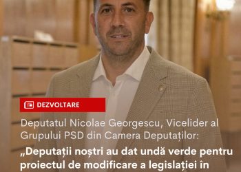 Nicolae Georgescu, deputat PSD de Argeș: Pentru a crește substanțial investițiile publice avem nevoie ca lucrurile să se miște rapid