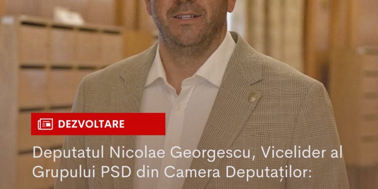 Nicolae Georgescu, deputat PSD de Argeș: Pentru a crește substanțial investițiile publice avem nevoie ca lucrurile să se miște rapid