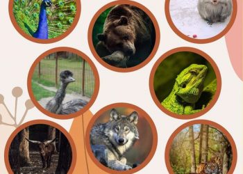 De Rusalii, Zoo Pitești deschide porțile pentru vizitatori!