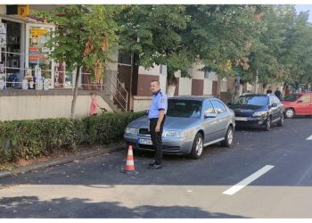 Noi investiții pe bulevardul Dacia