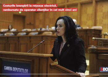 Simona Bucura-Oprescu: Costurile branșării la rețeaua electrică, rambursate clienților în cel mult cinci ani!