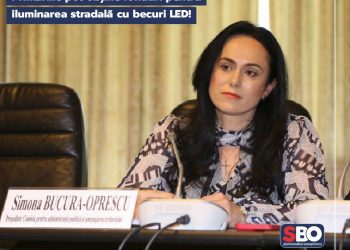 Simona Bucura-Oprescu: Primăriile pot obține fonduri pentru iluminarea stradală cu becuri LED!