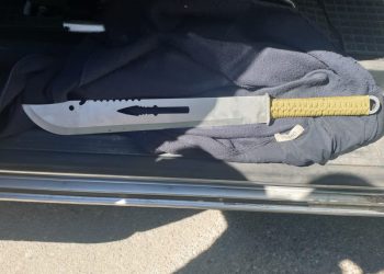 Se plimba cu maceta prin Pitești