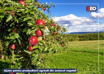 Simona Bucura-Oprescu: Ajutor pentru producătorii agricoli din sectorul vegetal!