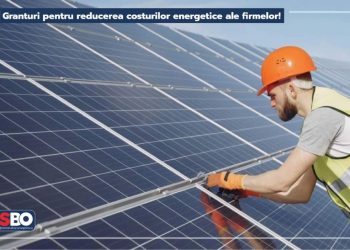 Simona Bucura-Oprescu: Granturi pentru reducerea costurilor energetice ale firmelor!