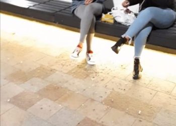 Poliția Locală Pitești, amenzi pentru semințe și consum de alcool în public