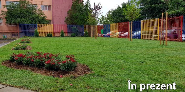 Spațiul verde de la Școala „Tudor Arghezi” a fost reamenajat