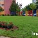 Spațiul verde de la Școala „Tudor Arghezi” a fost reamenajat