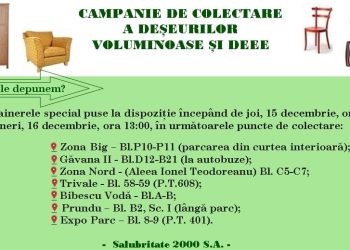 A patra campanie de colectare a deșeurilor voluminoase și DEEE, în Pitești!