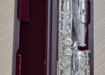 Instrument nou la Filarmonica Pitești