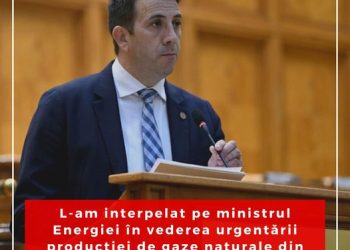 Nicolae Georgescu l-a interpelat pe ministrul Energiei