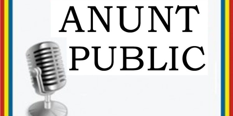 Albeștii de Argeș – Anunț de Mediu/PUZ Bazin de înot în aer liber