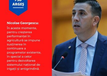 Nicolae Georgescu: „Miniștrii PSD performează!”