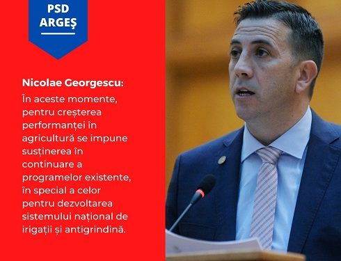 Nicolae Georgescu: „Miniștrii PSD performează!”