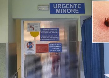 Cinci persoane au ajuns la SJU Pitești, după ce au fost mușcate de căpușe