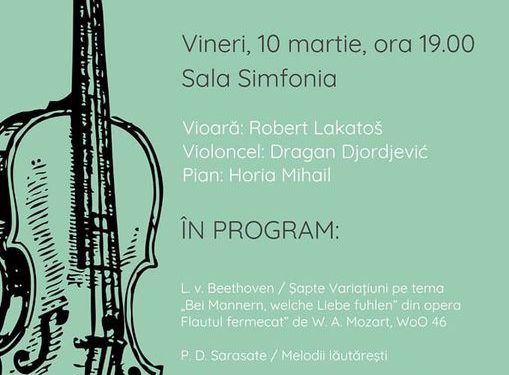 Recital intitulat “Instrumente de colecție”, la Sala “Simfonia”