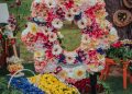 Proiectul Grădina mea – florile Piteștiului continuă: mini-grădinile amenajate de preșcolari și școlari piteșteni vor putea fi admirate la Simfonia Lalelelor 2023!