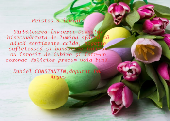 Felicitare – Daniel CONSTANTIN, deputat PNL Argeș