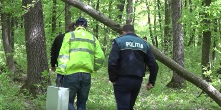 Descoperire macabră la marginea pădurii Făget din Mioveni