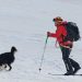 Salvamontiștii și câinii de avalanșă din Argeș, vedete pe TVR