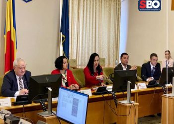 Simona Bucura-Oprescu: Muncim în Comisia de administrație pentru legi mai bune!