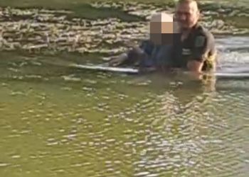 Pitești: Un polițist local, eroul zilei!