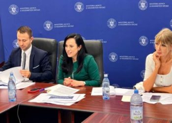 Simona Bucura-Oprescu, o nouă întâlnire cu ONG-urile din domeniul asistenţei sociale