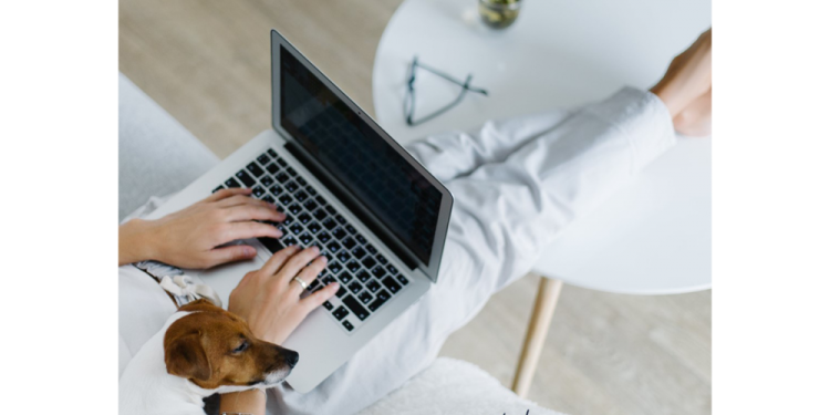 Te-ai gândit vreodată care sunt beneficiile unui job în industria videochatului?