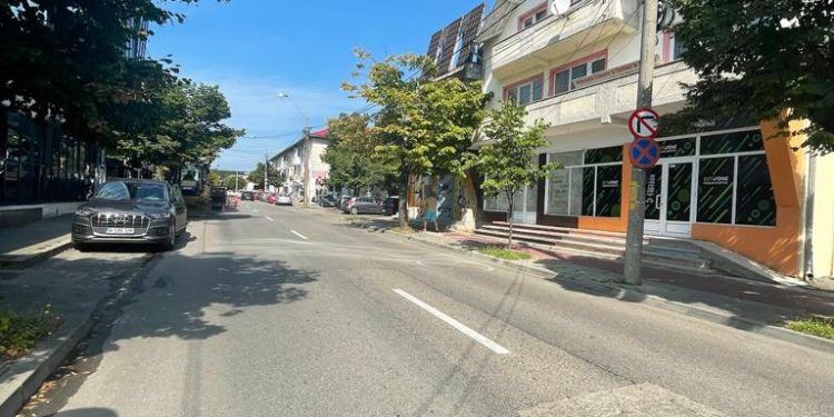 Se prelungește sensul unic pe Aleea Teilor din Pitești
