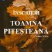 Începe o nouă ediție a Toamnei Piteștene