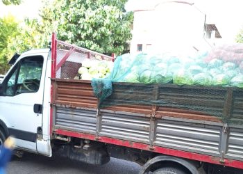 Amenzi date de Poliția Locală Pitești pentru lipsa autorizațiilor