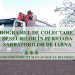 Programul de colectare a deșeurilor în perioada sărbătorilor de iarnă, la Pitești