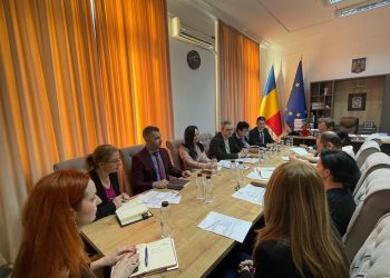 Ministrul Simona Bucura-Oprescu, discuţii cu reprezentanţii Camerei de Comerţ Americane în România privind piața forței de muncă