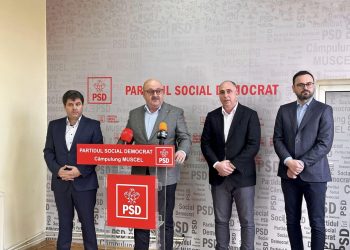 Ion Mînzînă: La Câmpulung împăratul e gol!