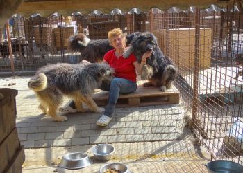 Asociația Tierhilfe Hoffnung Adăpostul de câini Smeura inaugurează primul Centru de sterilizare și înregistrare din România