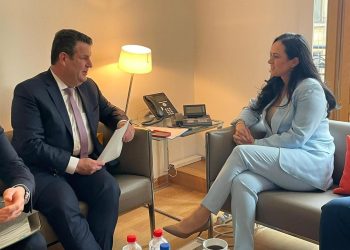 Ministrul Simona Bucura-Oprescu, reuniune bilaterală cu omologul din Germania, Hubertus Heil