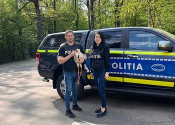 Barză rănită, salvată de polițiștii Biroului pentru Protecția Animalelor Argeș